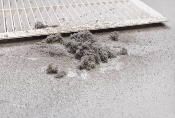 Best Ventilation Cleaning Services  in Camden, AL