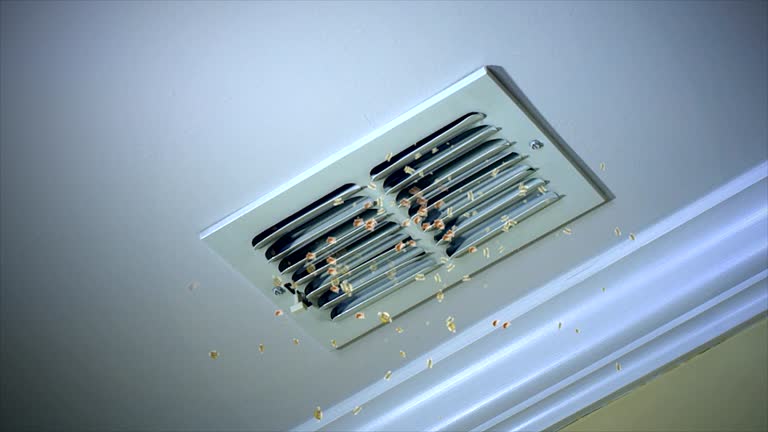 Best Home Air Vent Cleaning  in Camden, AL