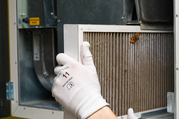 Best Local Air Duct Cleaning Services  in Camden, AL