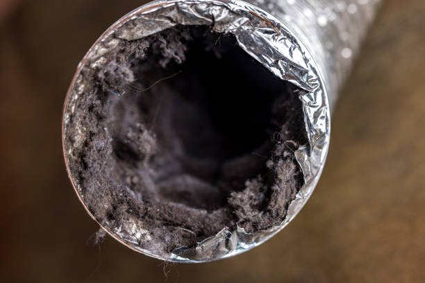Best Air Duct Cleaning Near Me  in Camden, AL