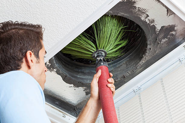 Best Affordable Duct Cleaning Services  in Camden, AL