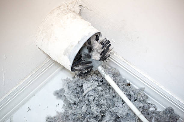 Best Commercial Air Duct Cleaning  in Camden, AL